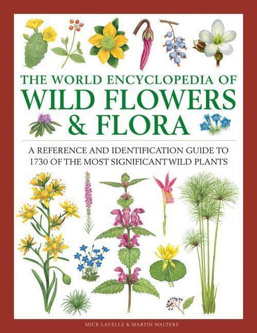 Thumbnail - Mick Lavelle | Wild Flowers & Flora, The World Encyclopedia Of | Buch