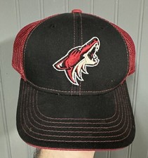 Nhl National Hockey League Arizona Coyotes Youth Kids Snapback Hat