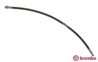 Brembo T 06 037 Bremsschlauch Hinten Links Rechts FüR Bmw