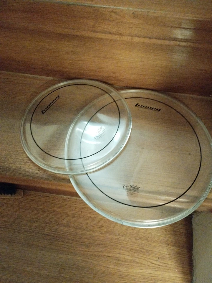 Ludwig Remo pinstripe Felle 10 Und 13"