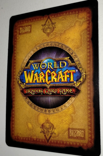 World of Warcraft schwimmendes Zauberbuch Lootkarte unkratzt 2013 WoW TCG-Code - Bild 3 von 3
