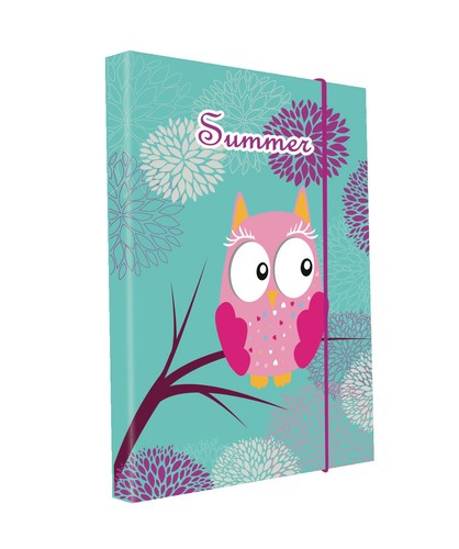 PP248 Dinosaurier T-Rex Heftbox A4 A5 Heftmappe Sammelbox Sammelmappe 2017