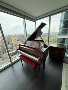 Steinway Baby Grand Piano 1923 Fully Restored Model L