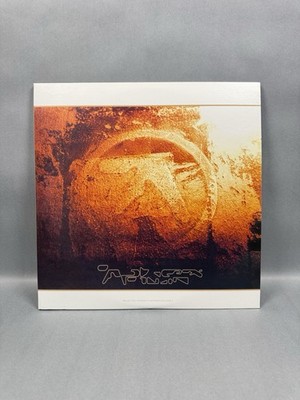 Selected Ambient Works Volume II by Aphex Twin (2012 Pressing EX)