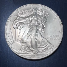2013 1 oz Fine Silver American Eagle - Uncirculated Perfect Condition     (2009)