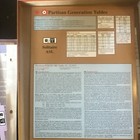 Foto 7 di 10