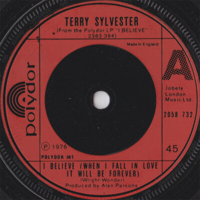 Terry Sylvester - Ich glaube (Wenn ich mich verliebe, wird es für immer sein) (7'', Sin...