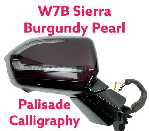 2021-2022 Hyundai Palisade Calligraphy W7B Camera Puddle Side Mirror Right side