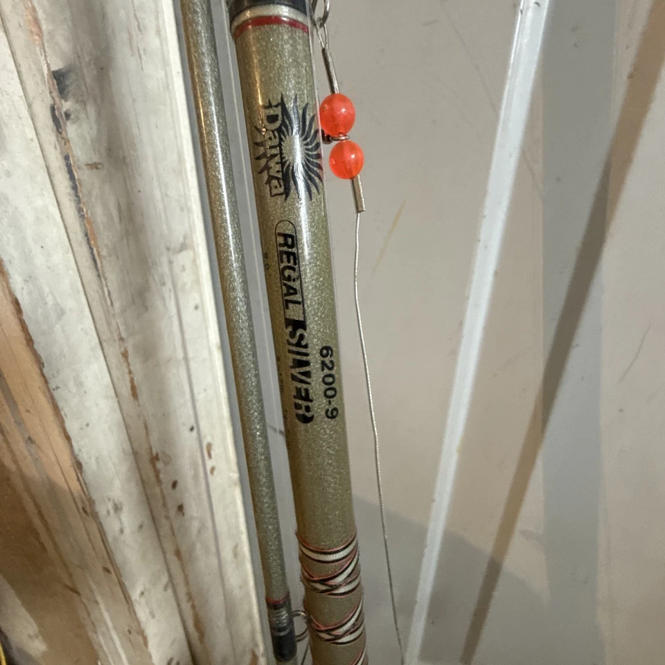 Combo de carrete y varilla plateada Daiwa Procaster Magforce PMF53H Regal Foto 4 de 4