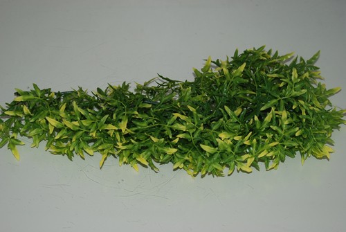 Vivarium Large Realistic Plastic Plant Bolivian Croton Approx 55cms for reptile - 第 1/3 張圖片