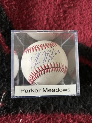 PARKER MEADOWS - Detroit Tigers - Signed Autographed MLB Baseball COA w/case