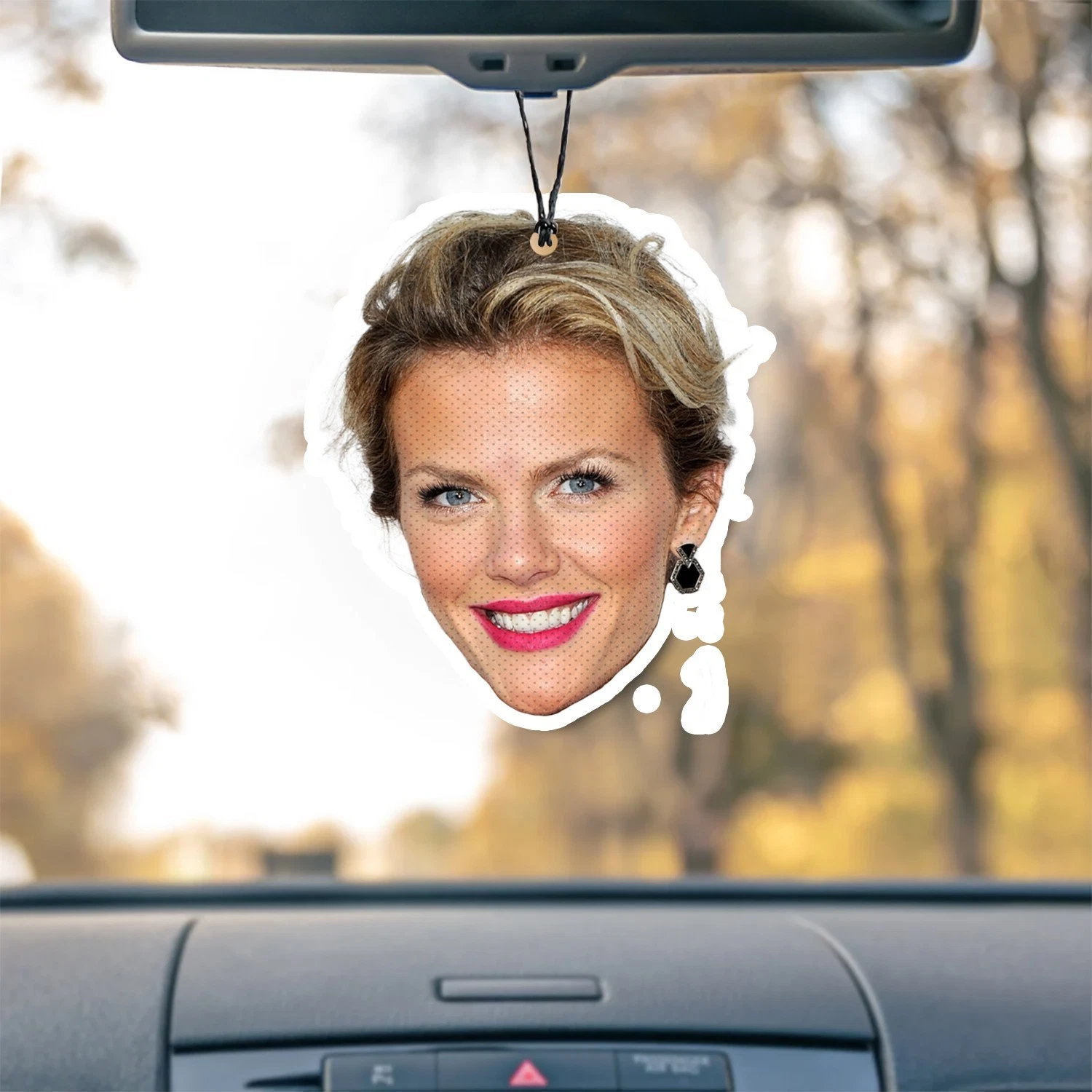 Brooklyn Decker Unscented Hanging Car Air Freshener Freshie