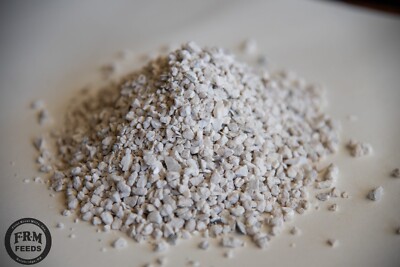 Oyster Shell --  HIGH Calcium for CHICKENS / DUCKS / BIRDS (10 POUND BAG)   TEN!