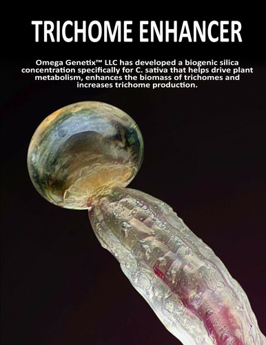 TRICHOME ENHANCER - Picture 4 of 5