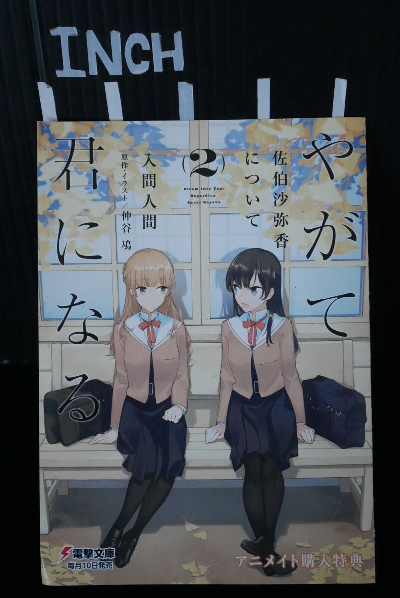 Yagate kimi ni naru - Saeki Sayaka ni tsuite (Novel)