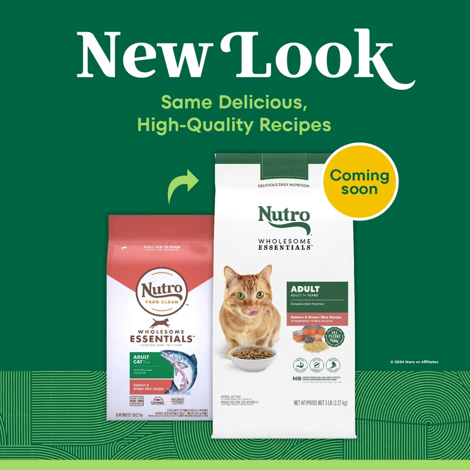 Nutro Wholesome Essentials Salmon Dry Cat Food 5 lb Healthy Skin Digestion - Image 2 of 4