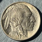 * 1913-D TYPE 1 * SOLID+ GEM BU MS BUFFALO NICKEL * FROM ORIGINAL COLLECTION