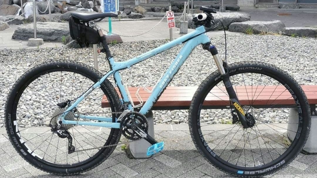 Gary Fisher Paragon 29 MTB Frame | eBay