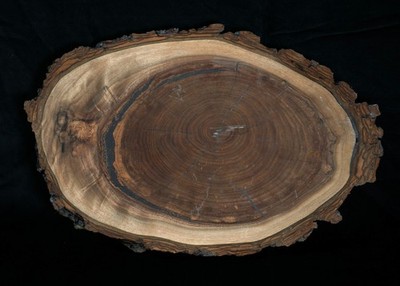 Live Edge Black Walnut Wood Slice Charcuterie Board 14'' x 9.25'' x 1.25'' (R2)