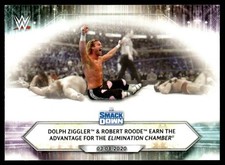2021 TOPPS WWE DOLPH ZIGGLER & ROBERT ROODE EARN THE ADVANTAGE FOR THE