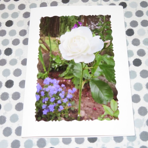5 GET WELL SOON Floral Photo Cards, 5X7 cards, Floral - Picture 7 of 9