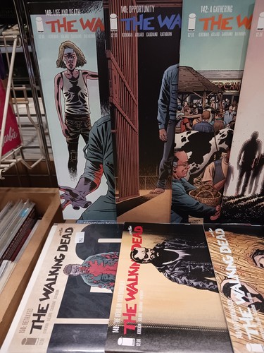 The Walking Dead Image Comic Books / SETS! - RUNS! KEY ISSUES! - Picture 2 of 4