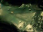 aurora Hulk base — photo 3