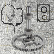 84005207 793880 Camshaft Kit For Briggs & Stratton 4 Cycle Small Engine Camshaft