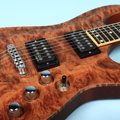 2005 Schecter Diamond series C-1 Exotic Electric Guitar | eBay
