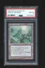 Lake of the Dead - Alliances - PSA 8 - Magic the Gathering