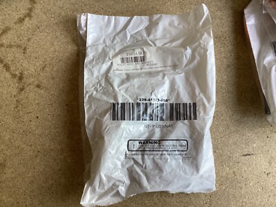 Lochinvar 100165875 Pilot Assembly PLT 1507