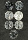 Set Of 7 Uncirculated Silver American Eagle Coins