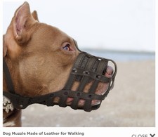 For Dog Trainers Leather Super Ventilation Muzzle - EM1 - X-Large Short Snout