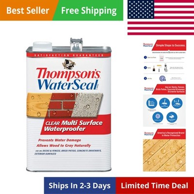 Thompson s WaterSeal Multi-Surface Waterproofer Stain, Clear, 1 Gallon