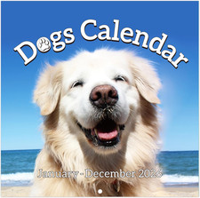 2026 Wall Calendar - 12-Month Monthly Wall Calendar 2026 from Jan. 2026 - Dec. 2