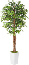 7Ft Ficus Silk Tree in Tall Planter - Realistic Faux Plant for Home  Office Dec
