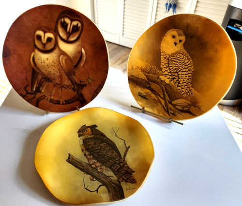 TRIO of Vintage E. Rambow Owl Plates Wall Hanging Decor Scalloped Acrylic Lucite