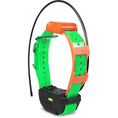 Dogtra Pathfinder TRX Tracking Only Collar Green for sale online