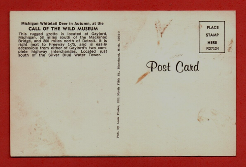 1950s CALL OF WILD MUSEUM US postcard Michigan Whitetail DEER animal taxidermy - Picture 2 of 3