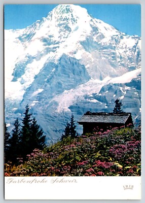 Switzerland  Farbenfrohe Schweiz  Postcard