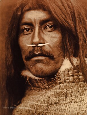 1914/90 EDWARD CURTIS Indian Man Bone w Nose Piercing