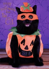 Designer Greetings Cat Wearing Pumpkin Outfit Halloween Card from Cat