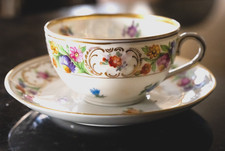 Schumann Bavaria Dresden Flowers Cup and Saucer Set
