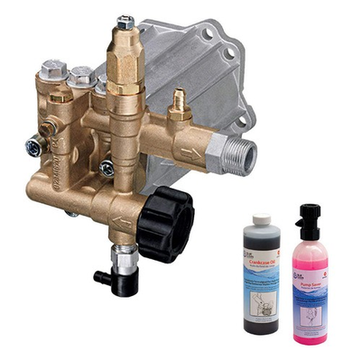 #ad AR RMV25G30D EZ RMV2.5G30EZ 3000PSI Pressure Washer Pump Horizontal 3 4 inch $202.99