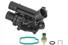 Thermostat Rover 25