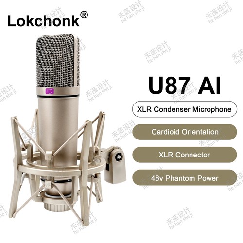 Microfono a Condensatore Professionale Cardioide Studio Mic per Registrazione Podcasting - Foto 13 di 13