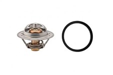 Thermostat Peugeot 304