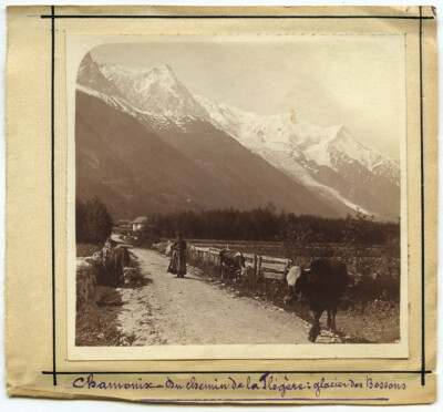 Chamonix-Mont-Blanc (Haute-Savoie). Glacier des Bossons du chemin de la Flagère.