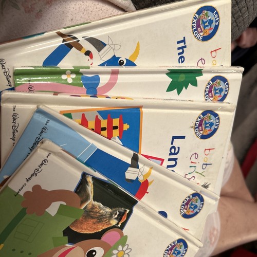 Baby Einsten Learning Books Explore Numbers Colors Shapes Art Animals Languages - Picture 2 of 8