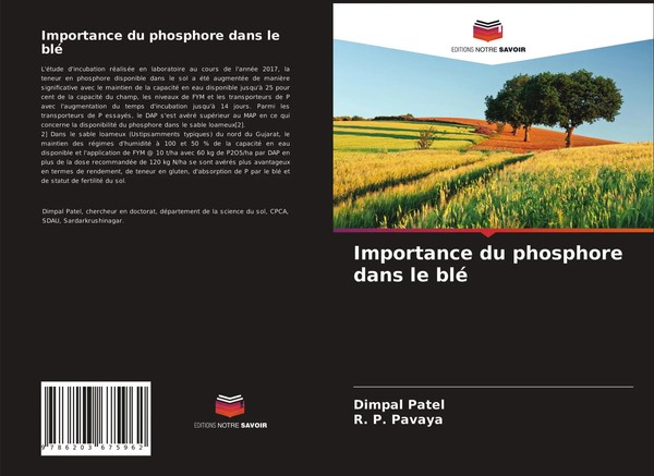Importance Du Phosphore Dans Le Blé Dimpal Patel (U. A.) Taschenbuch FranzöSisch-image